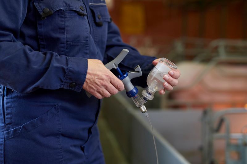 VAI TRÒ VÀ MỨC ĐỘ PHỔ BIẾN CỦA PCV2 TRONG CÁC CA BỆNH HÔ HẤP PHỨC HỢP TRÊN HEO