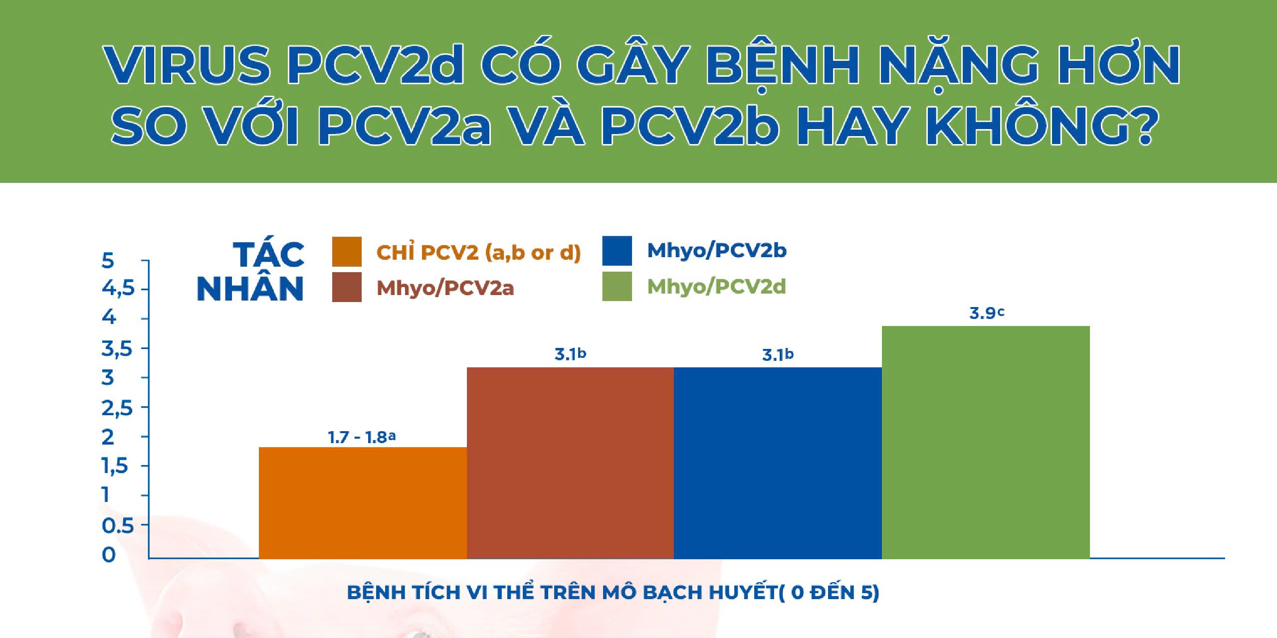 PCV2d.jpg