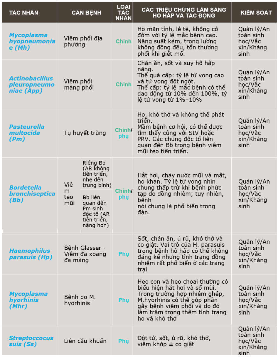 Bang ho hap.png