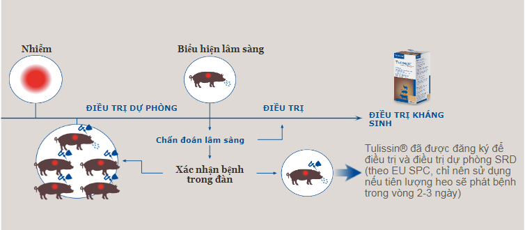 Dieu tri heo- Tullissin.png