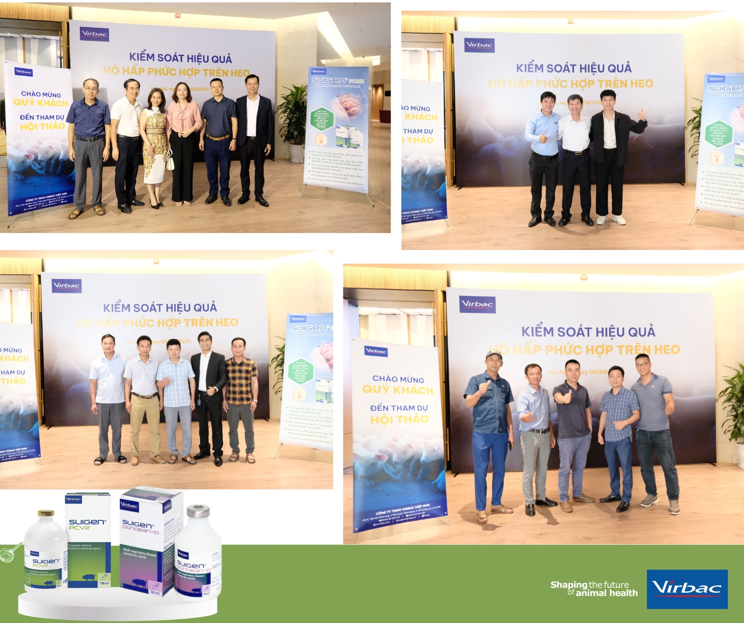 Hô hấp phức hợp trên heo (4).jpg