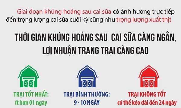 Hình lợi nhuận cai sữa.jpg