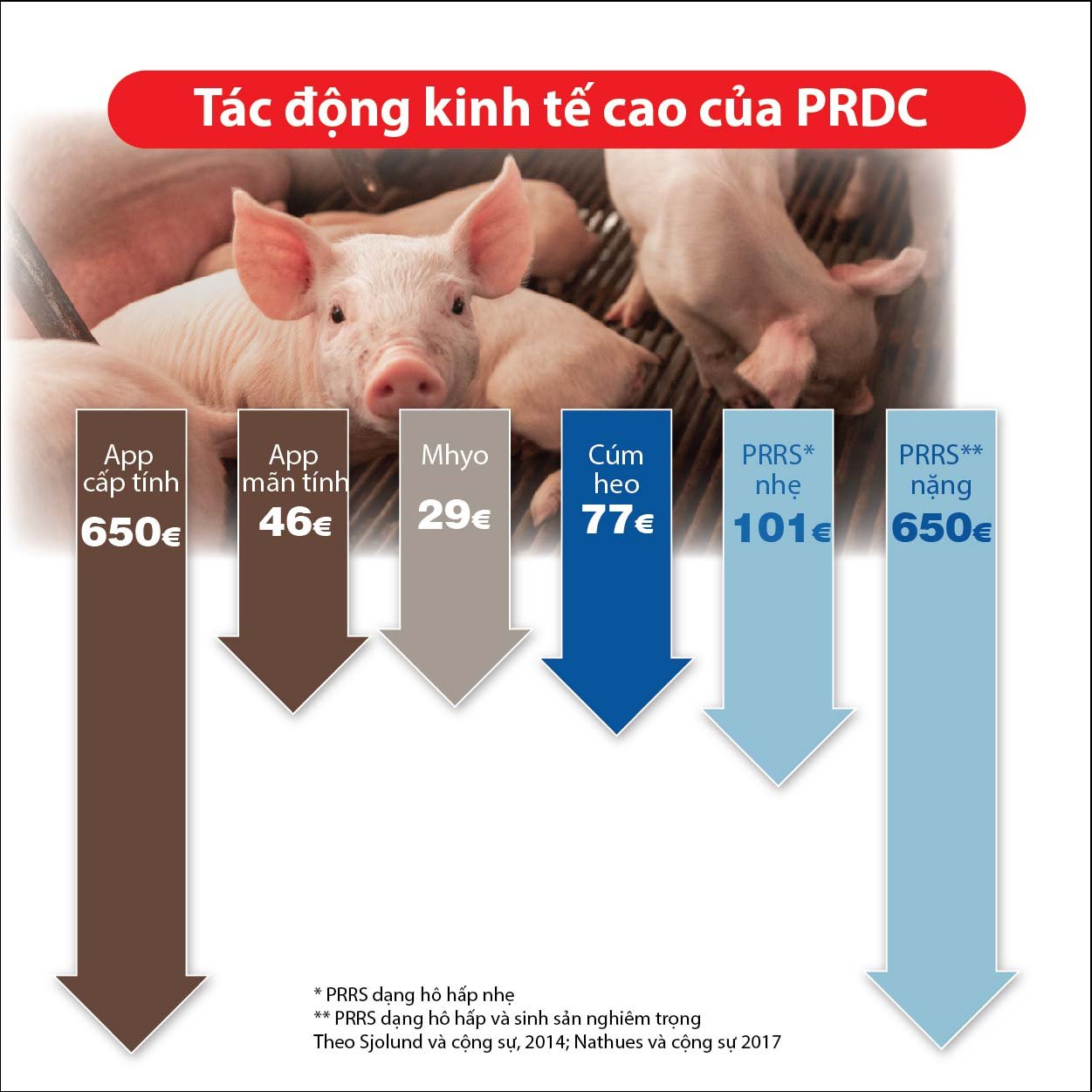 Tác động kinh tế PRDC.jpg