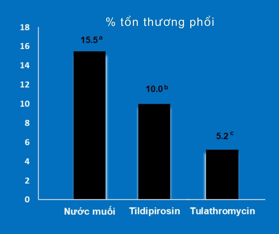 Tổn thương phổi.jpg