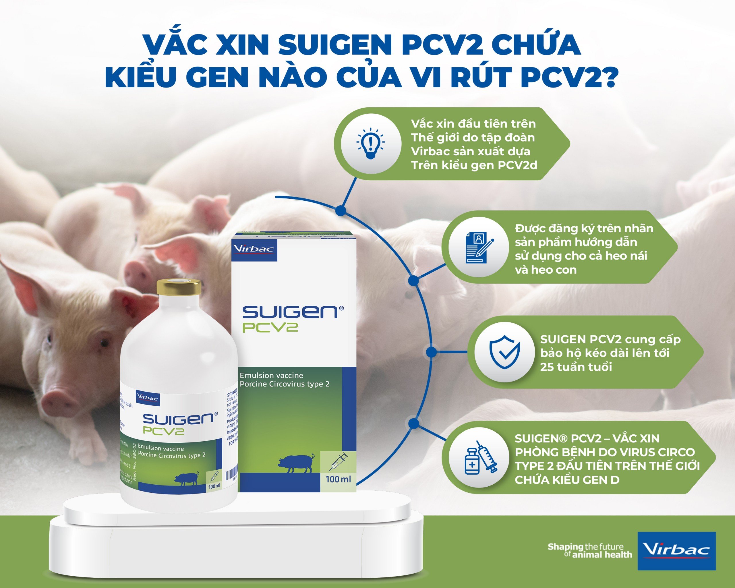 Suigen PCV2 - ưu điểm.jpg