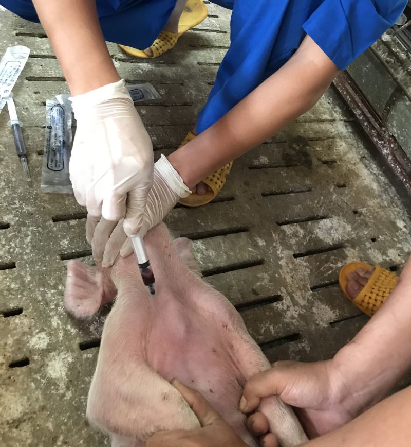 lấy mẫu máu.JPG