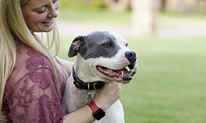 Cún cưng bị viêm da ?