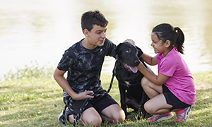 SÁN DÂY TRÊN THÚ CƯNG: KHÔNG CÒN LÀ NỖI LO RIÊNG