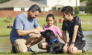MỐI NGUY ĐẾN TỪ GIUN MÓC TRÊN CHÓ MÈO: TÌM HIỂU CÁCH PHÒNG NGỪA