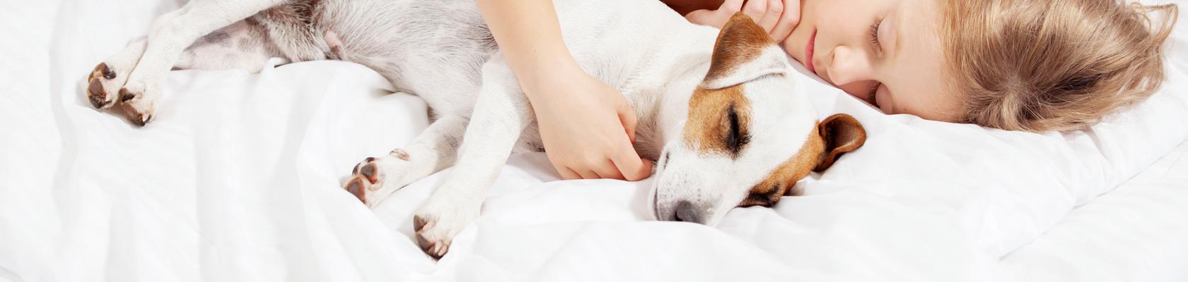 Tại sao tẩy giun sán đường tiêu hóa cho thú cưng được xem là quan trọng?