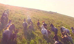 GIÁ TRỊ CỐT LÕI