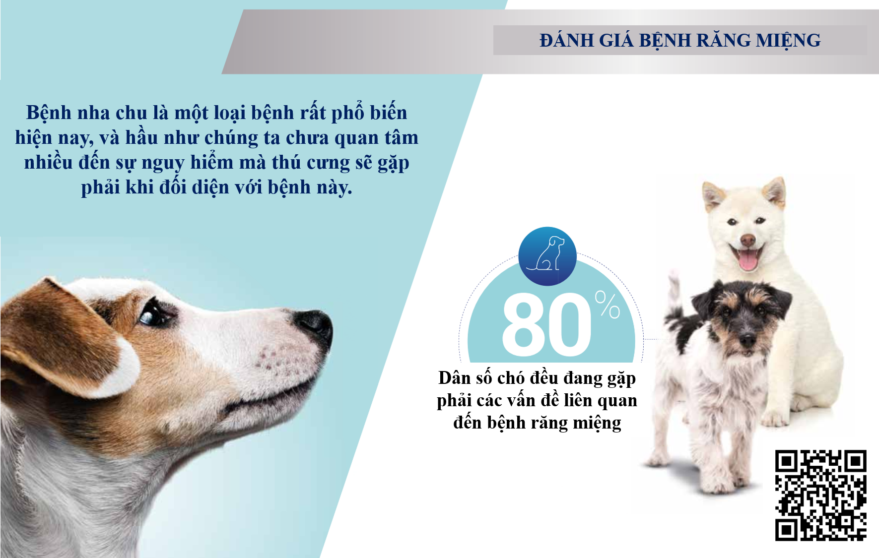 Veggiedent Fr3sh 23.2.a.png