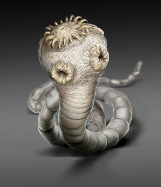 2019_HQ_parasiticides_photo parasites_tapeworm v2.jpg