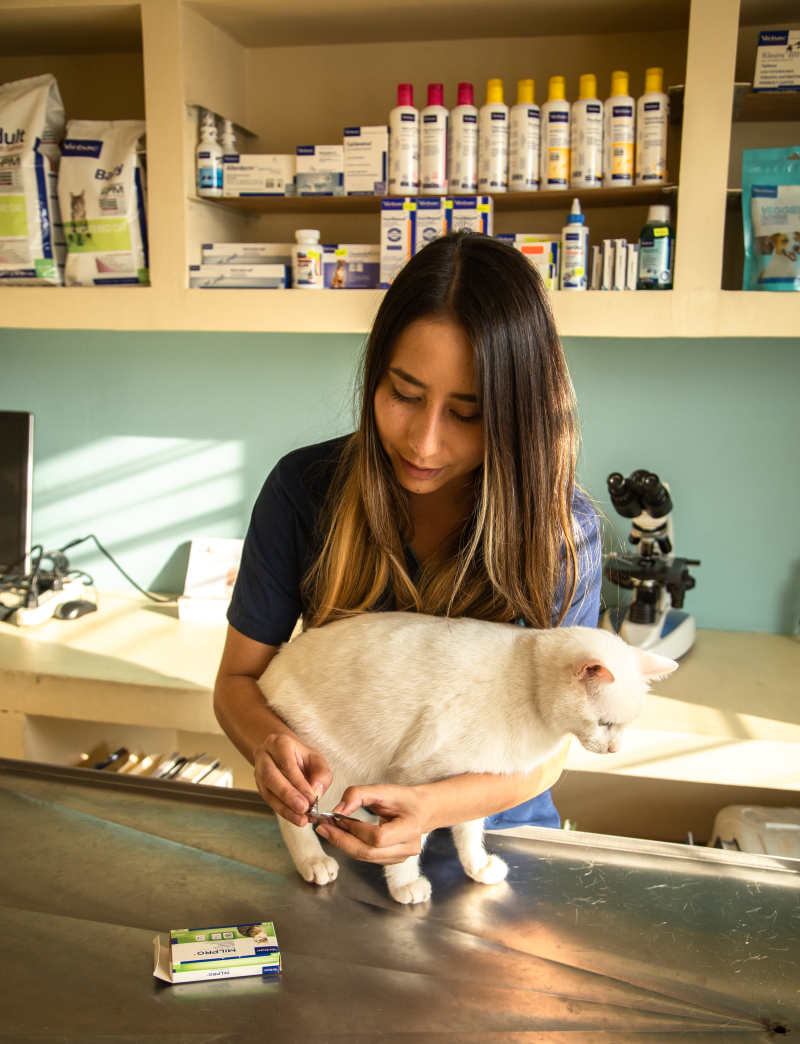 2022-02-09_049- resize.png