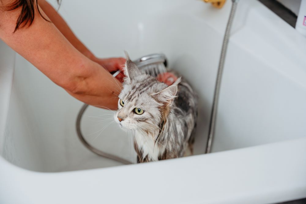 2023-04-13_A7102064 - resize.jpg