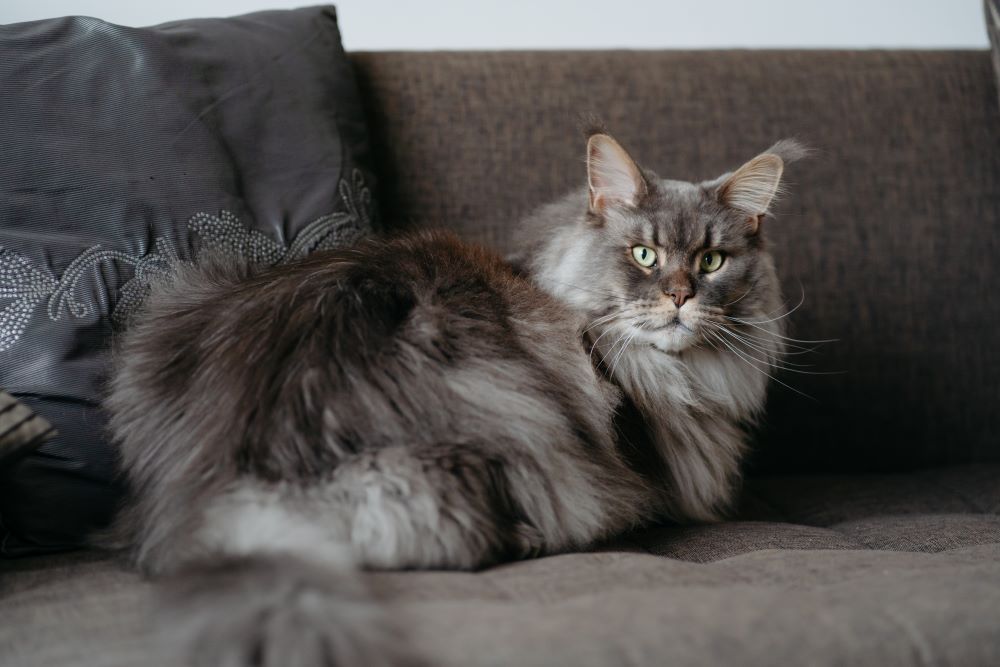 2024_04_18_A7103430- resize.jpg