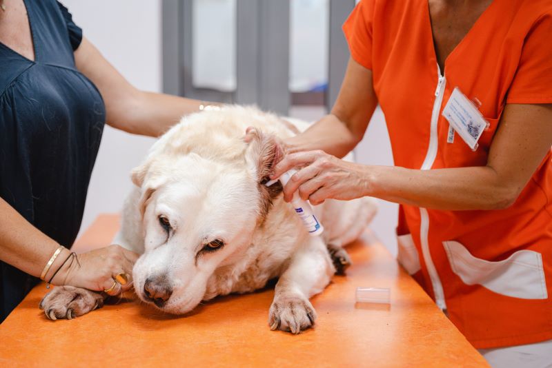 dieu tri viem tai ngoai.jpg