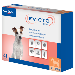 400770_Box_Evicto_60mg-x4_right.png
