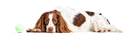 Movoflex Size M_7.jpg