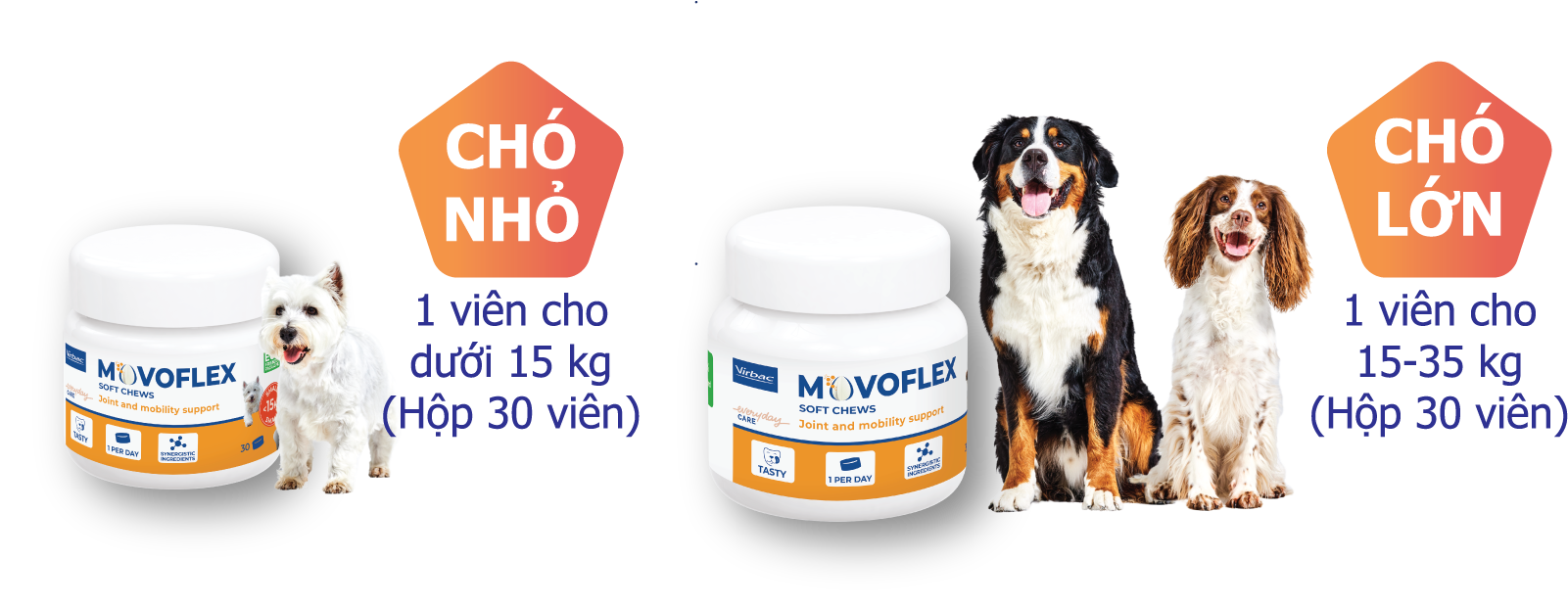 Quy cách Movoflex.png